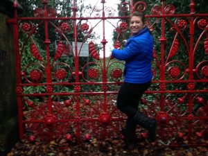 strawberryfields